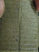 Enlarge photo 472