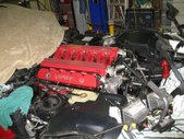 Enlarge photo 174