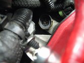 Enlarge photo 256
