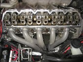 Enlarge photo 274