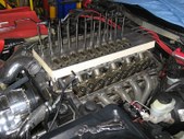 Enlarge photo 278