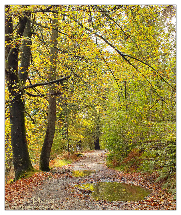Some HS20 examples from my walks [P]: Fujifilm FinePix Talk Forum ...
