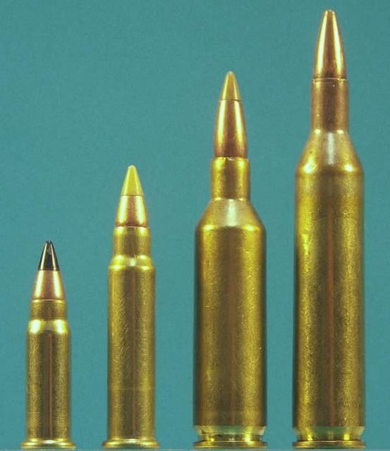 17 HM2 , 17 HMR, 17 Fireball (or MkIV) , 17 Remington. 