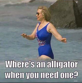 hillary-gator.jpg