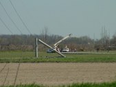 Enlarge photo 87