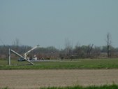 Enlarge photo 88