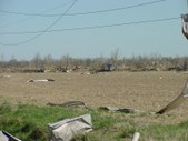 Enlarge photo 95