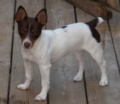 Brooks Darla May of C.C.K.