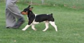 Enlarge photo 18