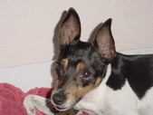 Maggie 1/14/97 - 1/23/09