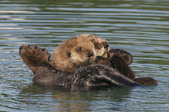 Enlarge photo 25