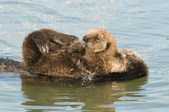 Enlarge photo 30