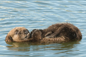 Enlarge photo 32