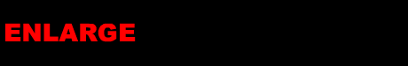 huevos