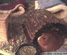 Enlarge photo 29