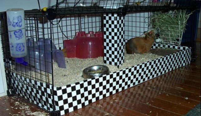 storage bin hamster cage