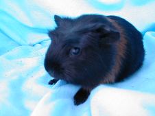 Enlarge photo 45
