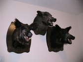 Enlarge photo 110