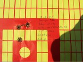 Enlarge photo 146