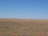 Wyoming hunt