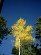 Enlarge photo 59