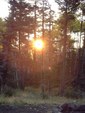 Enlarge photo 28