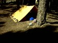 Enlarge photo 56