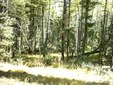Enlarge photo 41