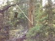 Enlarge photo 32