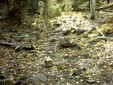 Enlarge photo 33