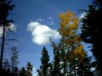 Enlarge photo 34
