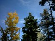 Enlarge photo 35