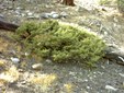 Enlarge photo 36
