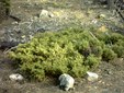 Enlarge photo 37