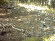 Enlarge photo 38