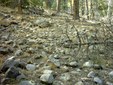 Enlarge photo 39