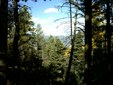 Enlarge photo 40