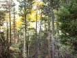 Enlarge photo 42