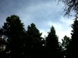 Enlarge photo 43
