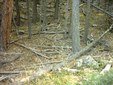 Enlarge photo 44