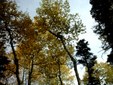 Enlarge photo 45