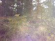 Enlarge photo 46