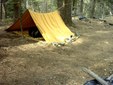 Enlarge photo 47