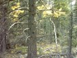 Enlarge photo 48