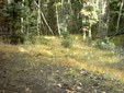 Enlarge photo 49