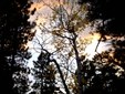 Enlarge photo 51