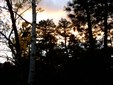 Enlarge photo 52