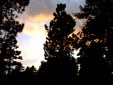 Enlarge photo 53