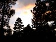 Enlarge photo 54