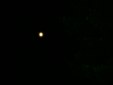 Enlarge photo 55